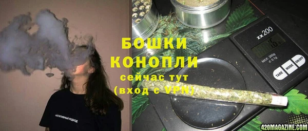 спайс Алексин