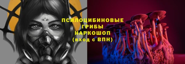 спайс Алексин