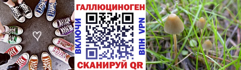 Псилоцибиновые грибы Psilocybine cubensis  OMG ТОР  Южно-Сухокумск 